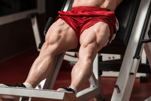 The 13 Best Quads Exercises for Beastly Legs - Vaxxen Labs, Inc.
