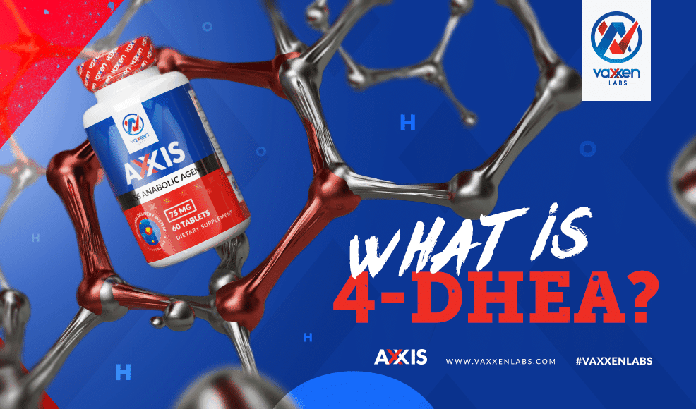 What is 4DHEA? Vaxxen Labs, Inc.