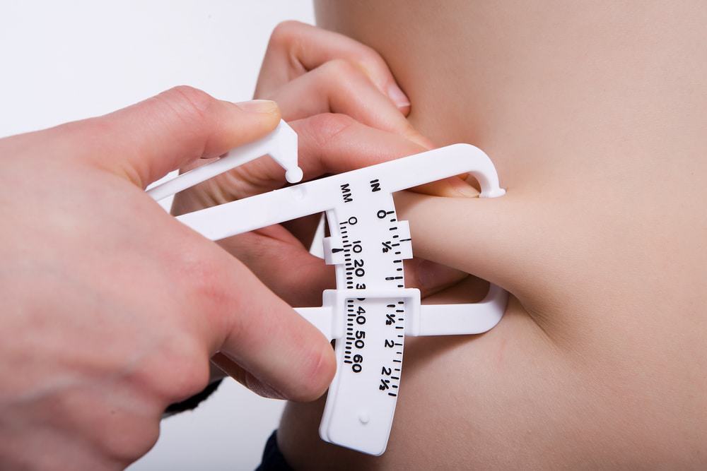 Body Fat Percentage Calculator Complete Guide Vaxxen Labs Inc