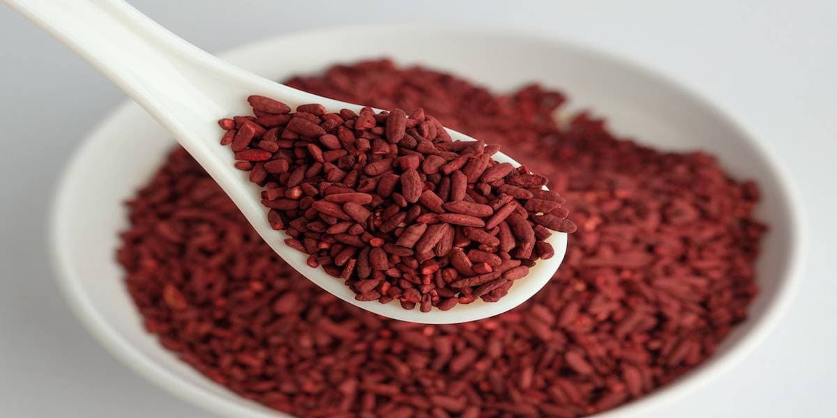 6 Red Yeast Rice Benefits - Vaxxen Labs, Inc.